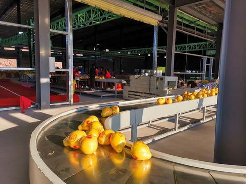 廣西 推進(jìn)數(shù)字化產(chǎn)地倉建設(shè) 加快鄉(xiāng)村振興步伐