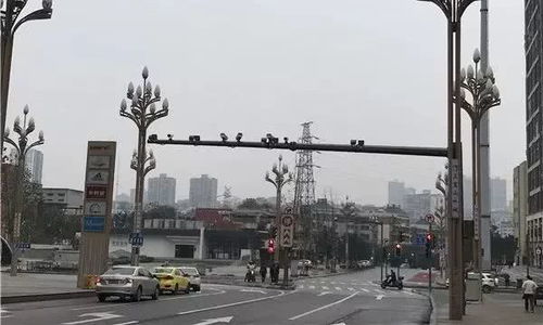 去盤龍新城要當(dāng)心 這些路段的交通設(shè)施已正式啟用